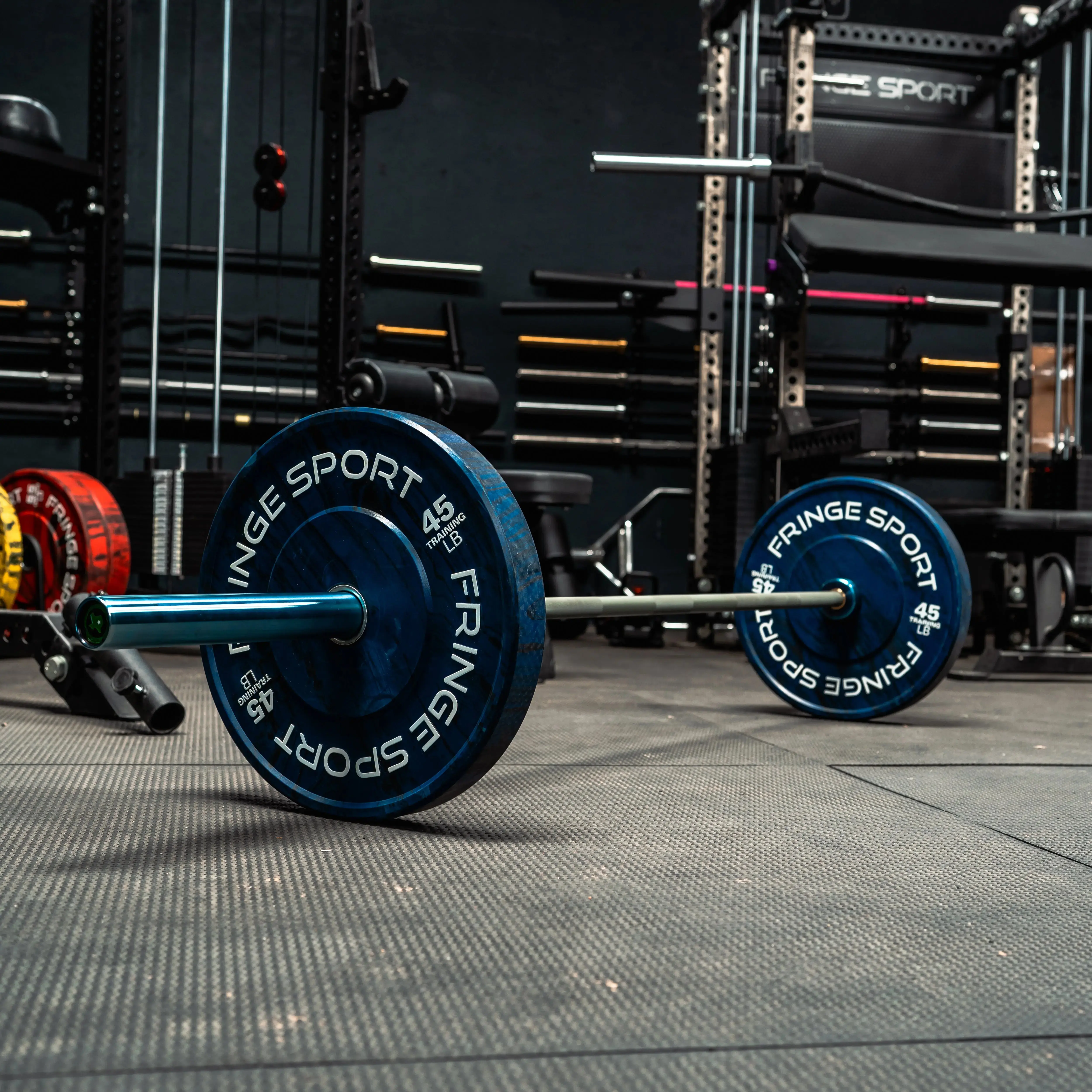 Austin Bar - 20kg - Image 18