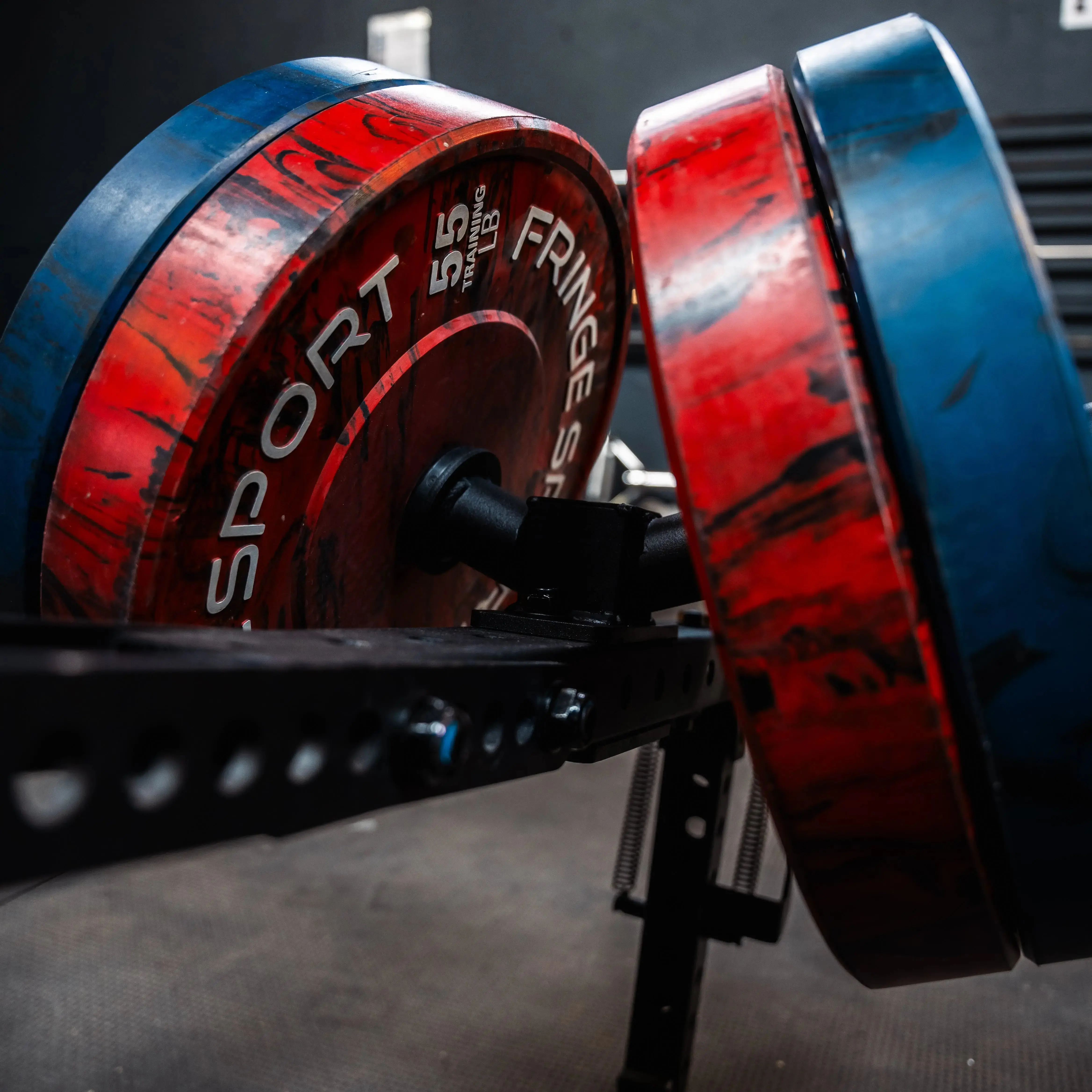 Dual Mounted Weight Horns - Image 12