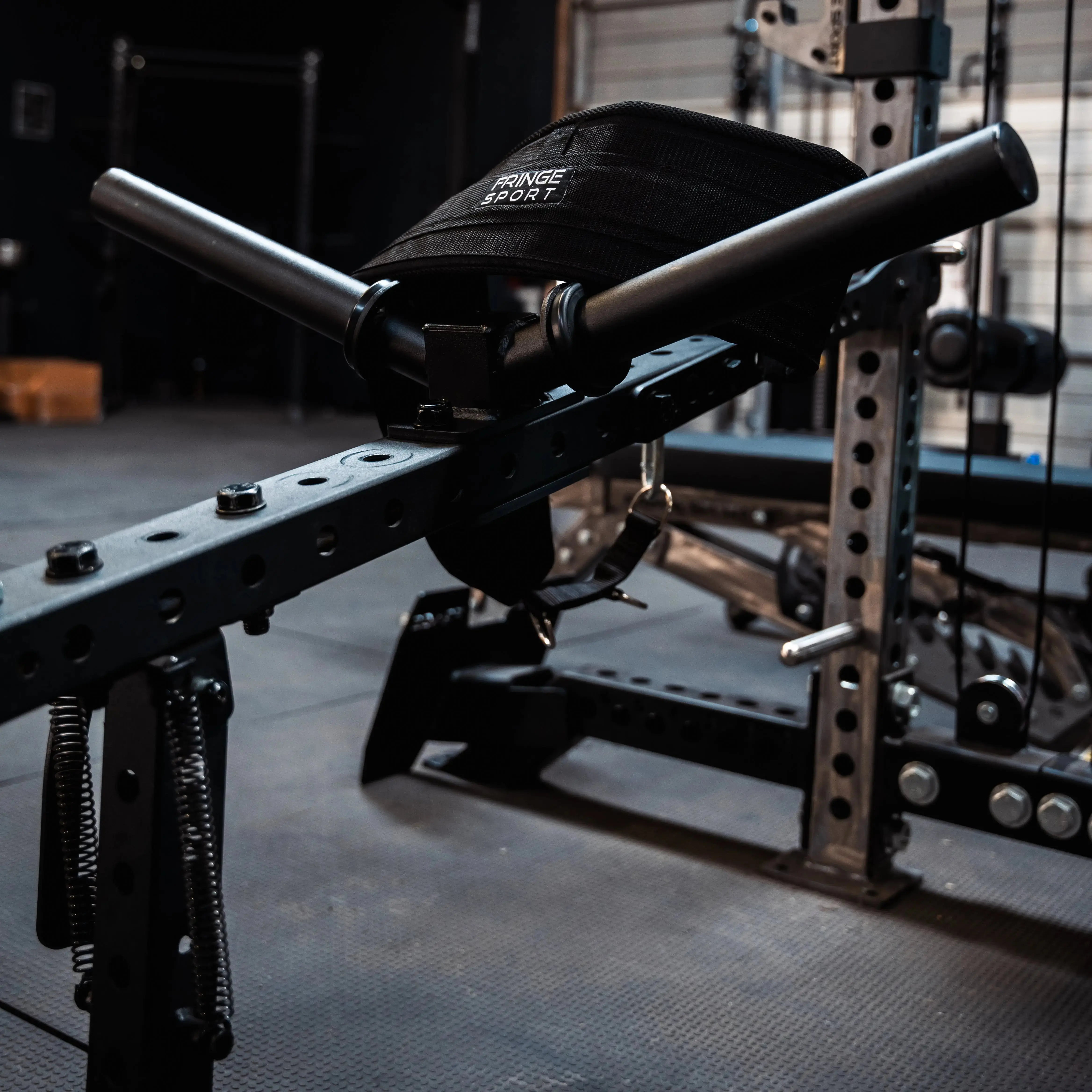 Dual Mounted Weight Horns - Image 13