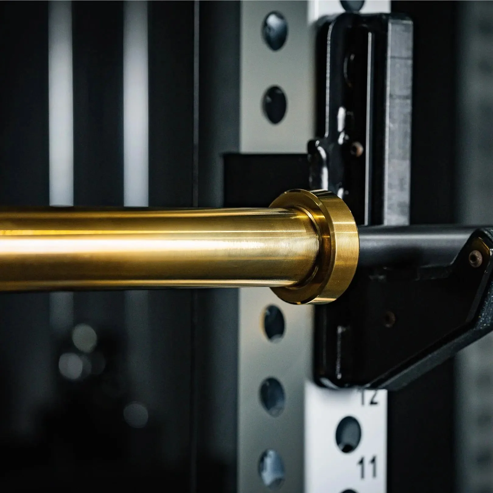 EZ Curl Bar Midas - Image 5