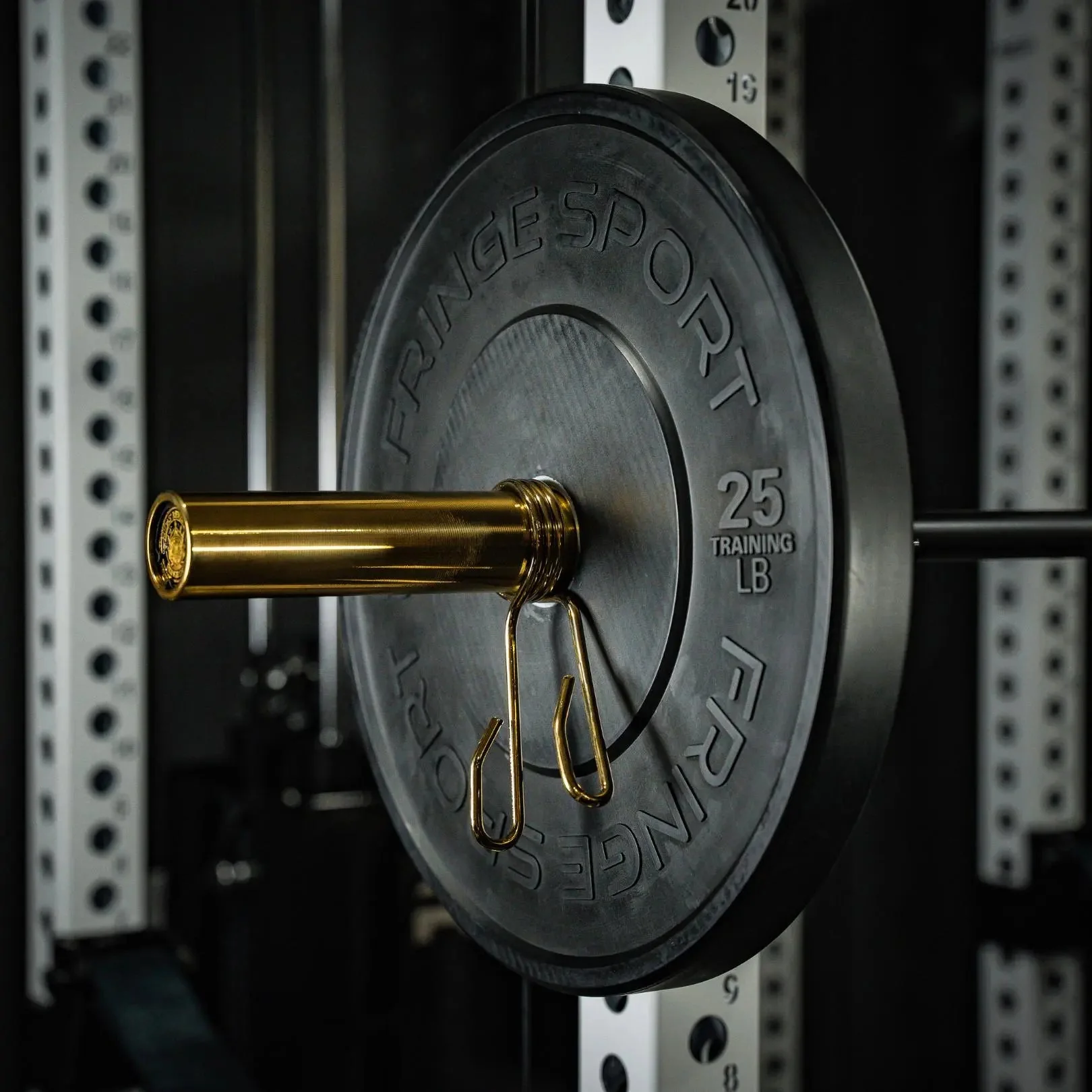 EZ Curl Bar Midas - Image 7