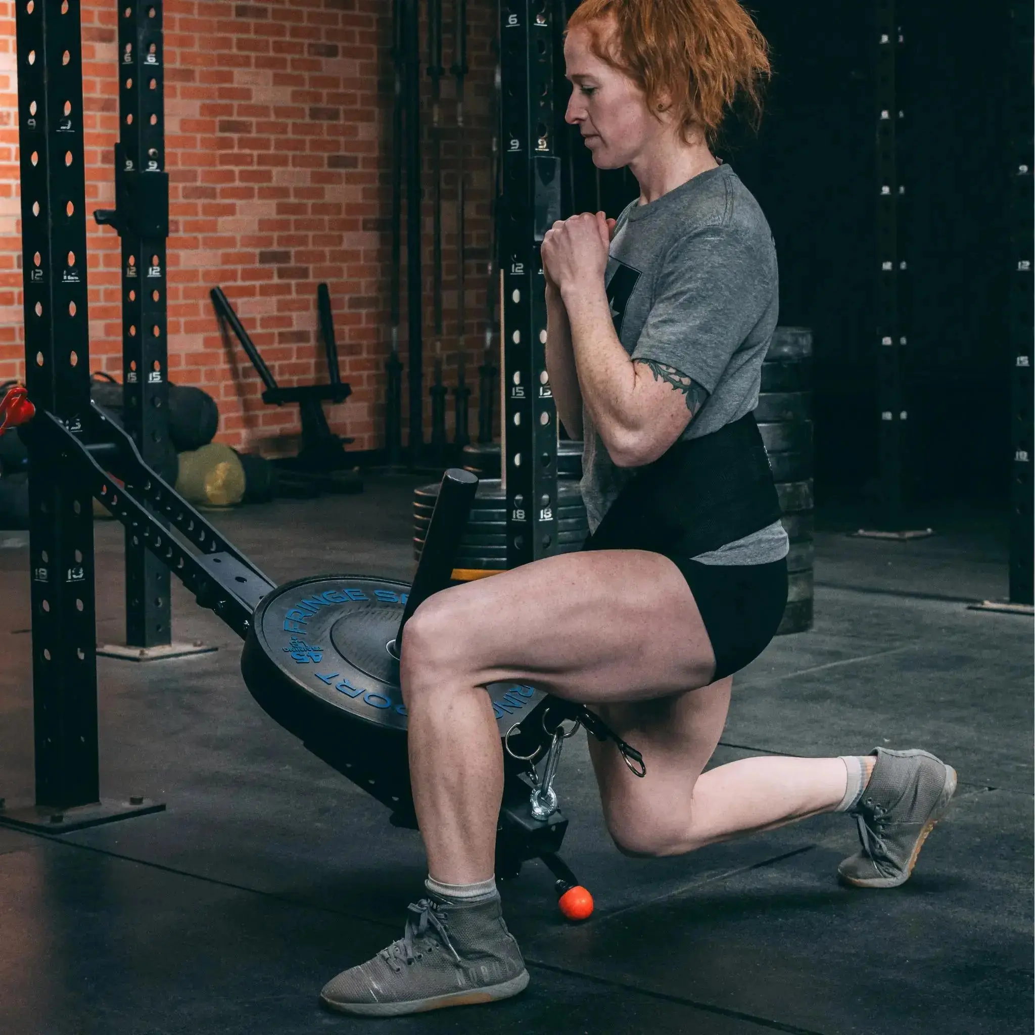 Mammoth Belt Squat (With Free Belt) - Image 18