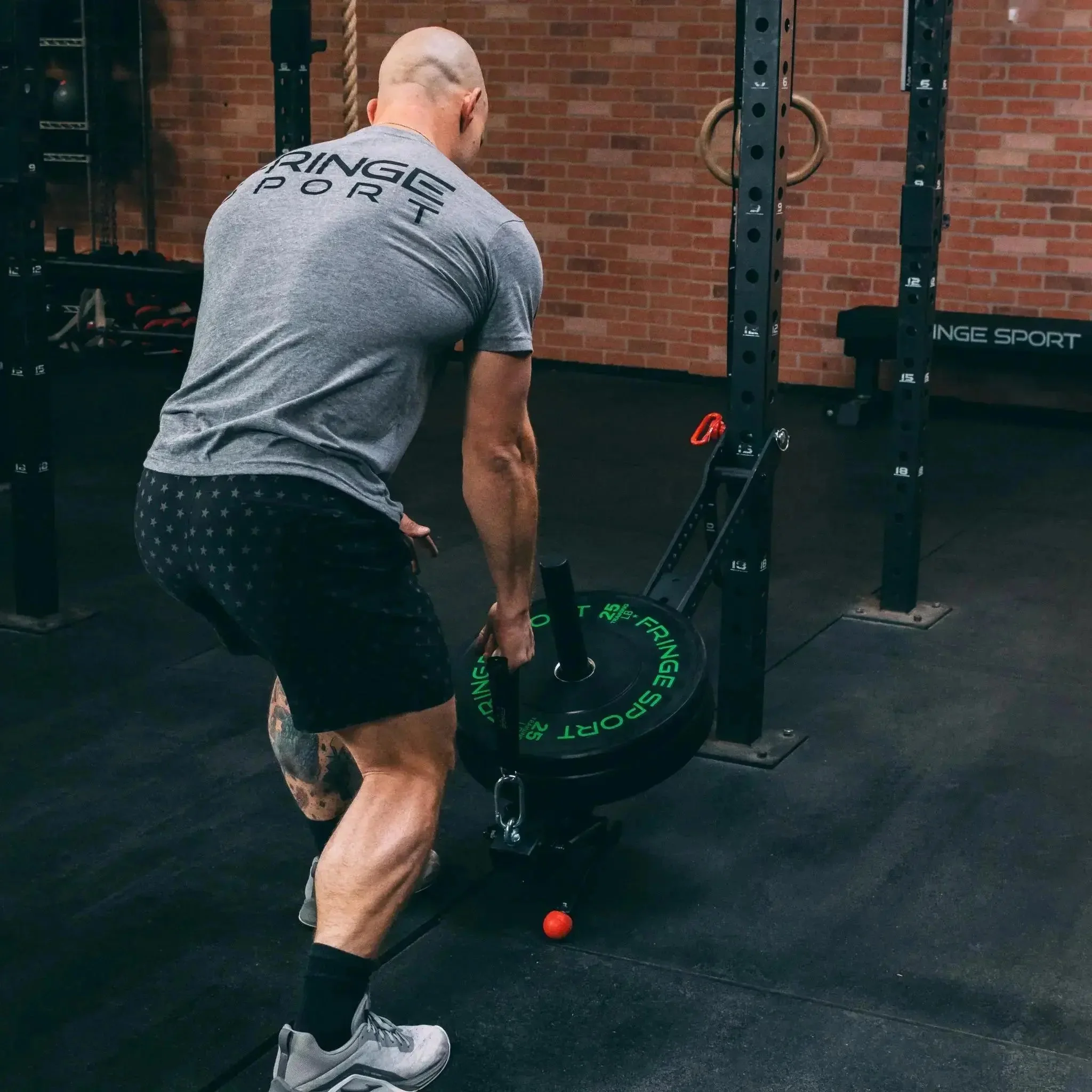 Mammoth Belt Squat (With Free Kickstand & Belt) - Image 11