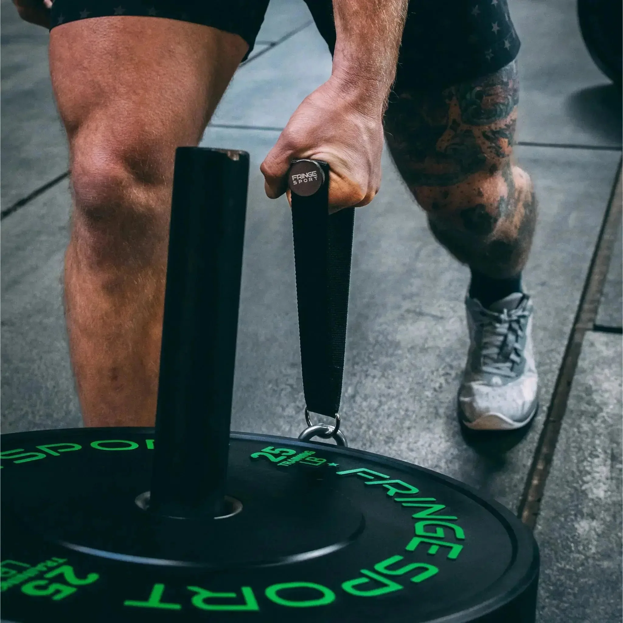 Mammoth Belt Squat (With Free Kickstand & Belt) - Image 21