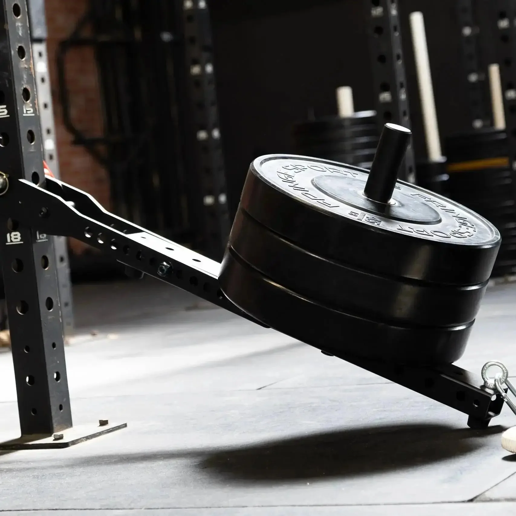 Mammoth Belt Squat (With Free Kickstand & Belt) - Image 23