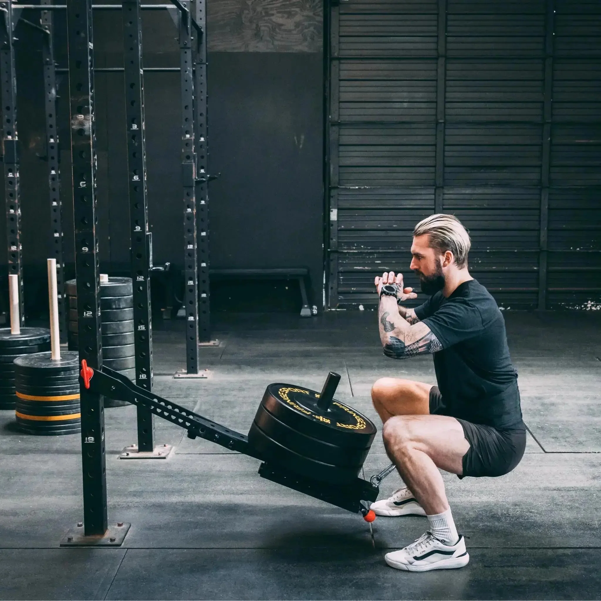 Mammoth Belt Squat (With Free Kickstand & Belt) - Image 4