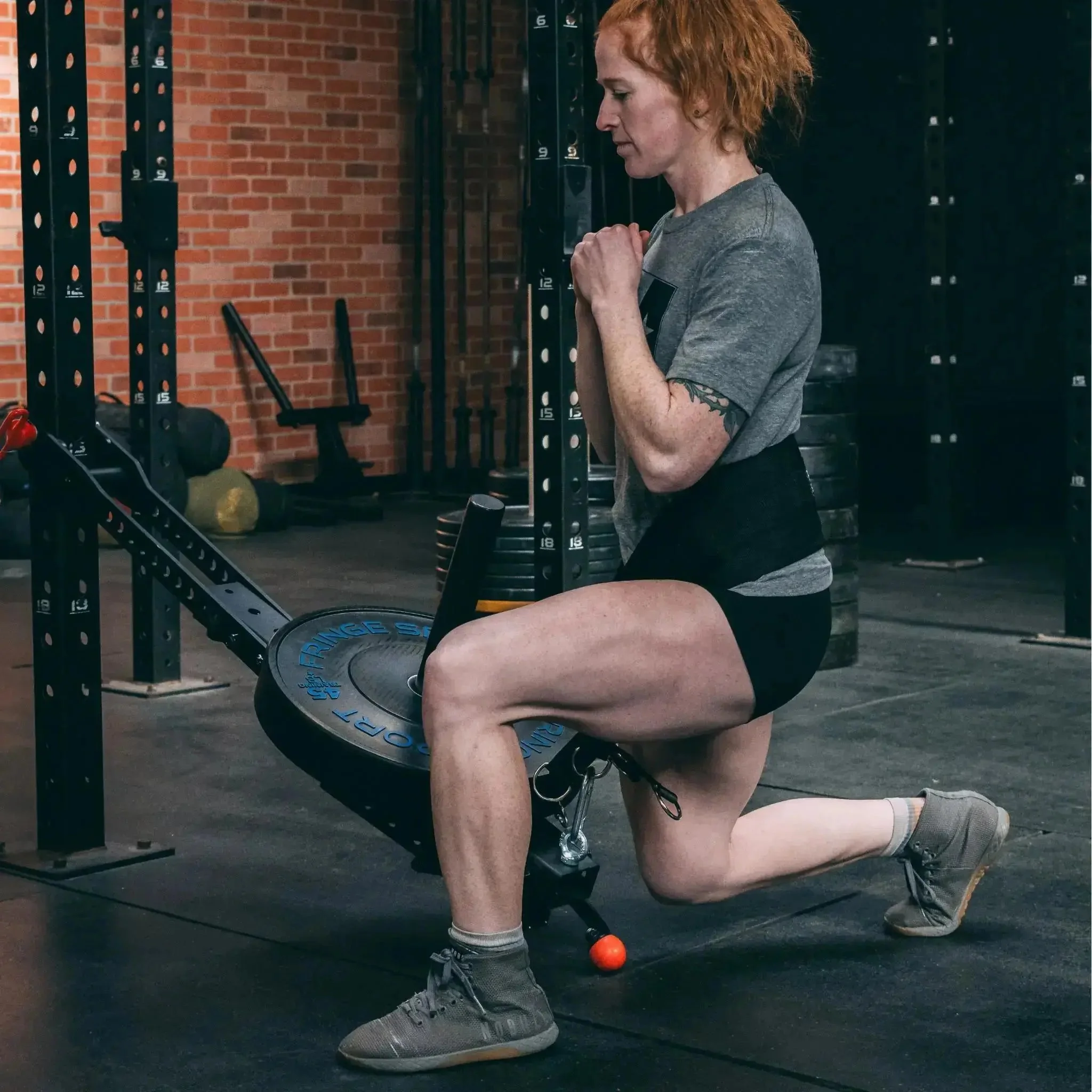Mammoth Belt Squat (With Free Kickstand & Belt) - Image 5