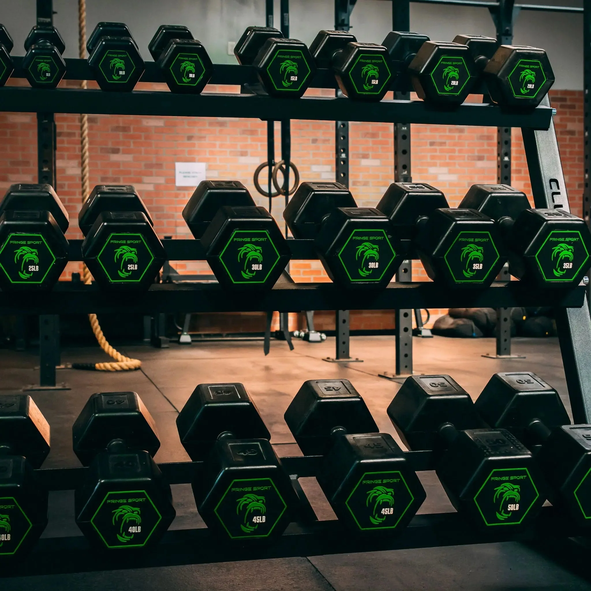 Silverback Rubber Coated Dumbbells - Image 19