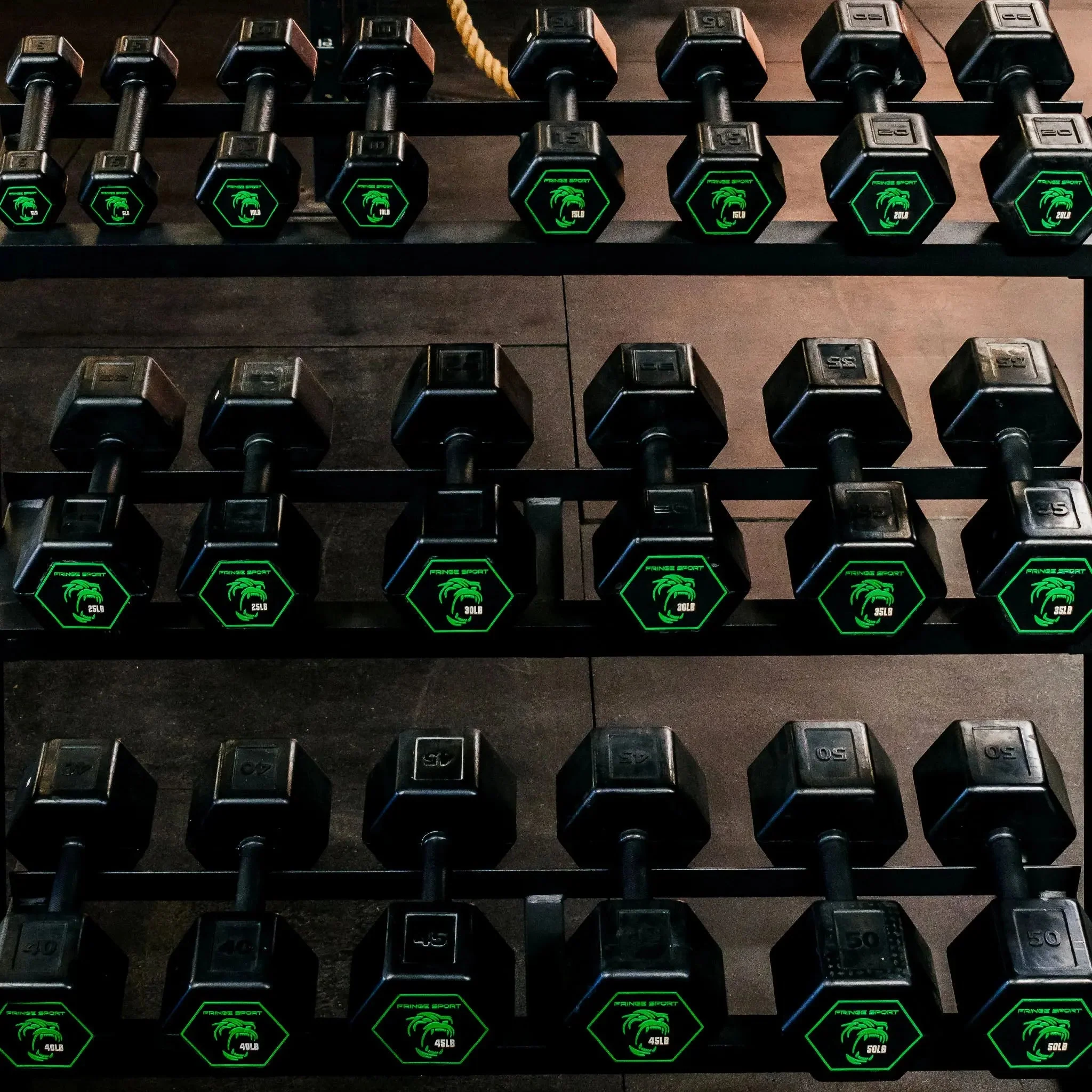 Silverback Rubber Coated Dumbbells - Image 22