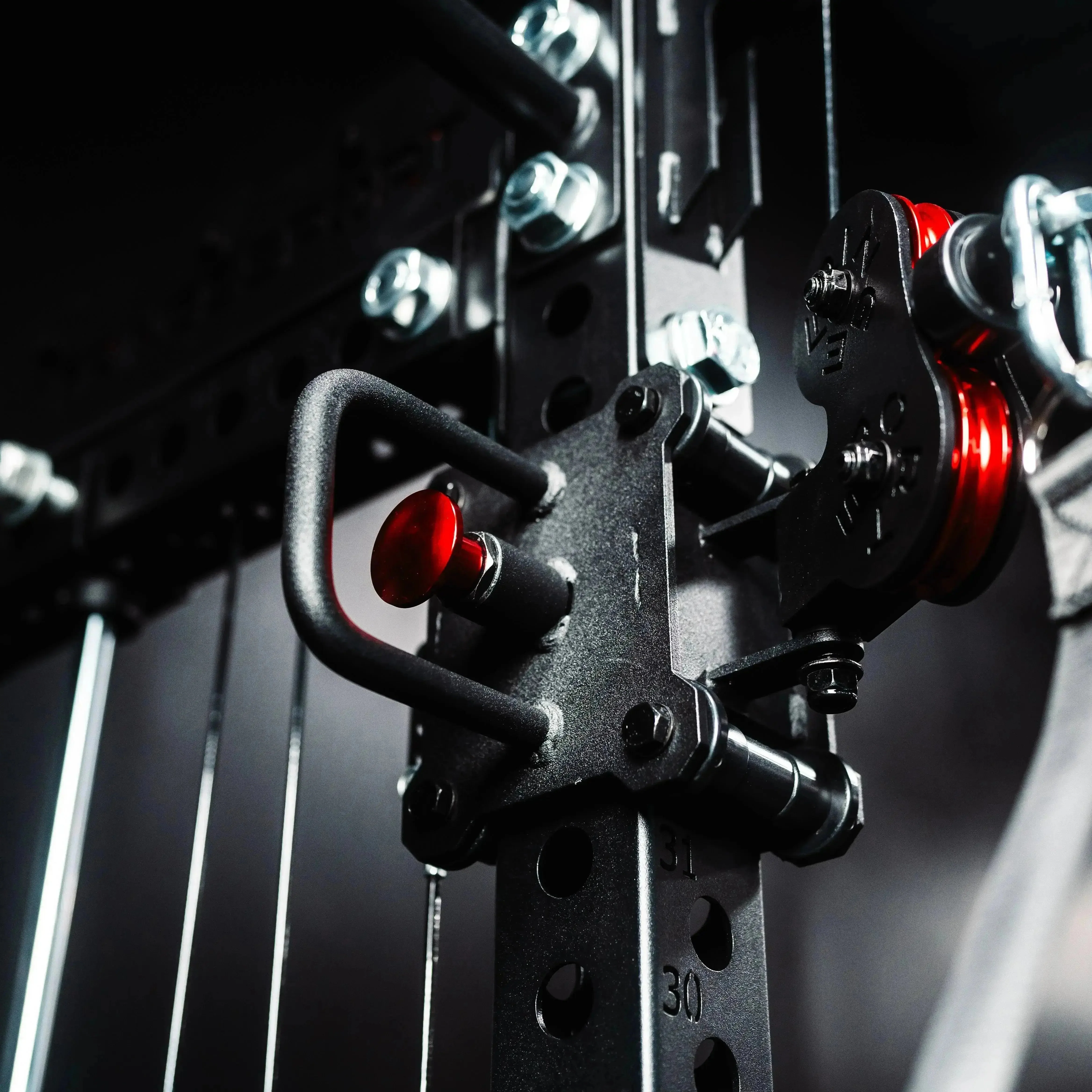 The Dane 2.0, Half Rack Functional Trainer (Attachments Package) - Image 46