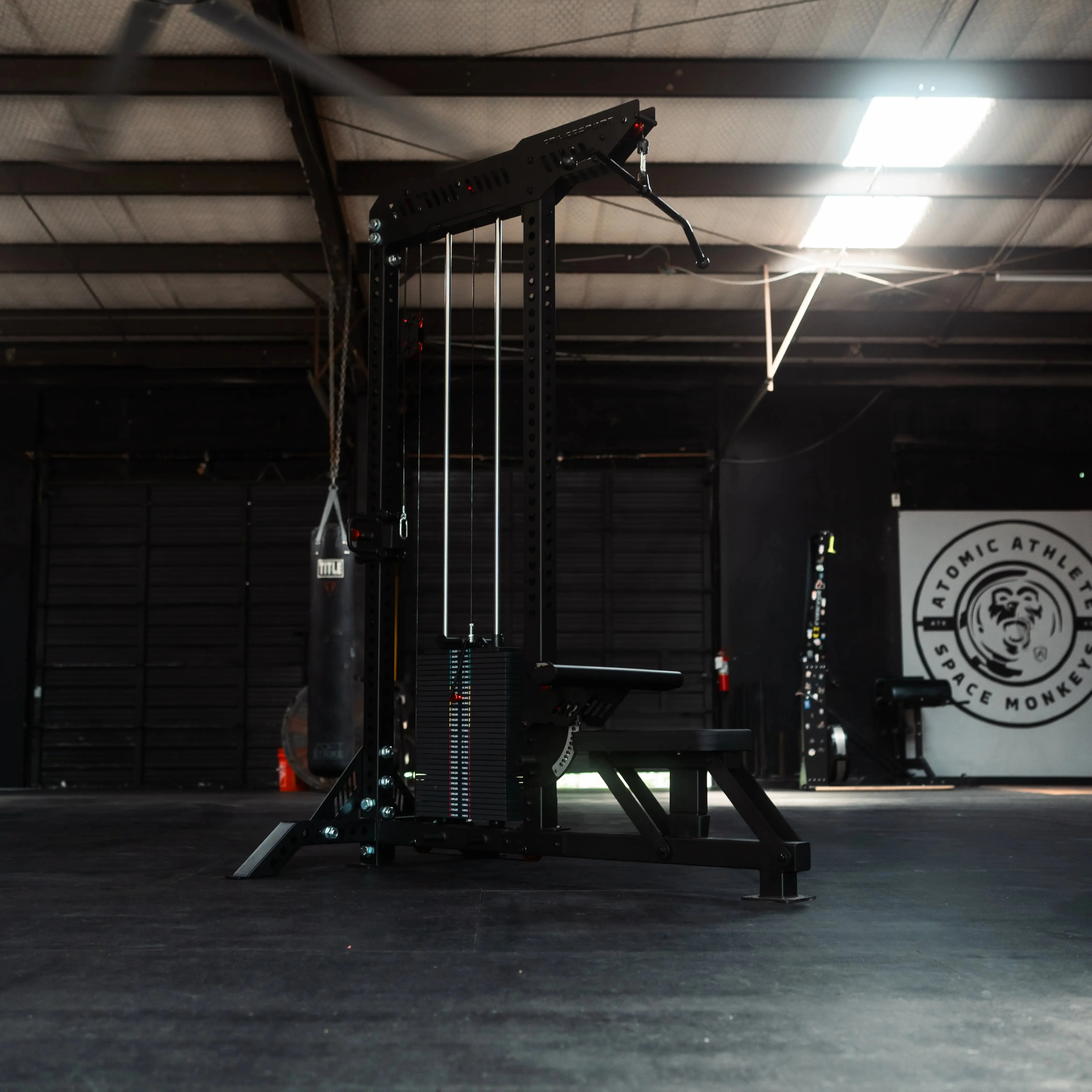 The Walrus: Single Tower Low Row & Lat Pulldown - Image 3