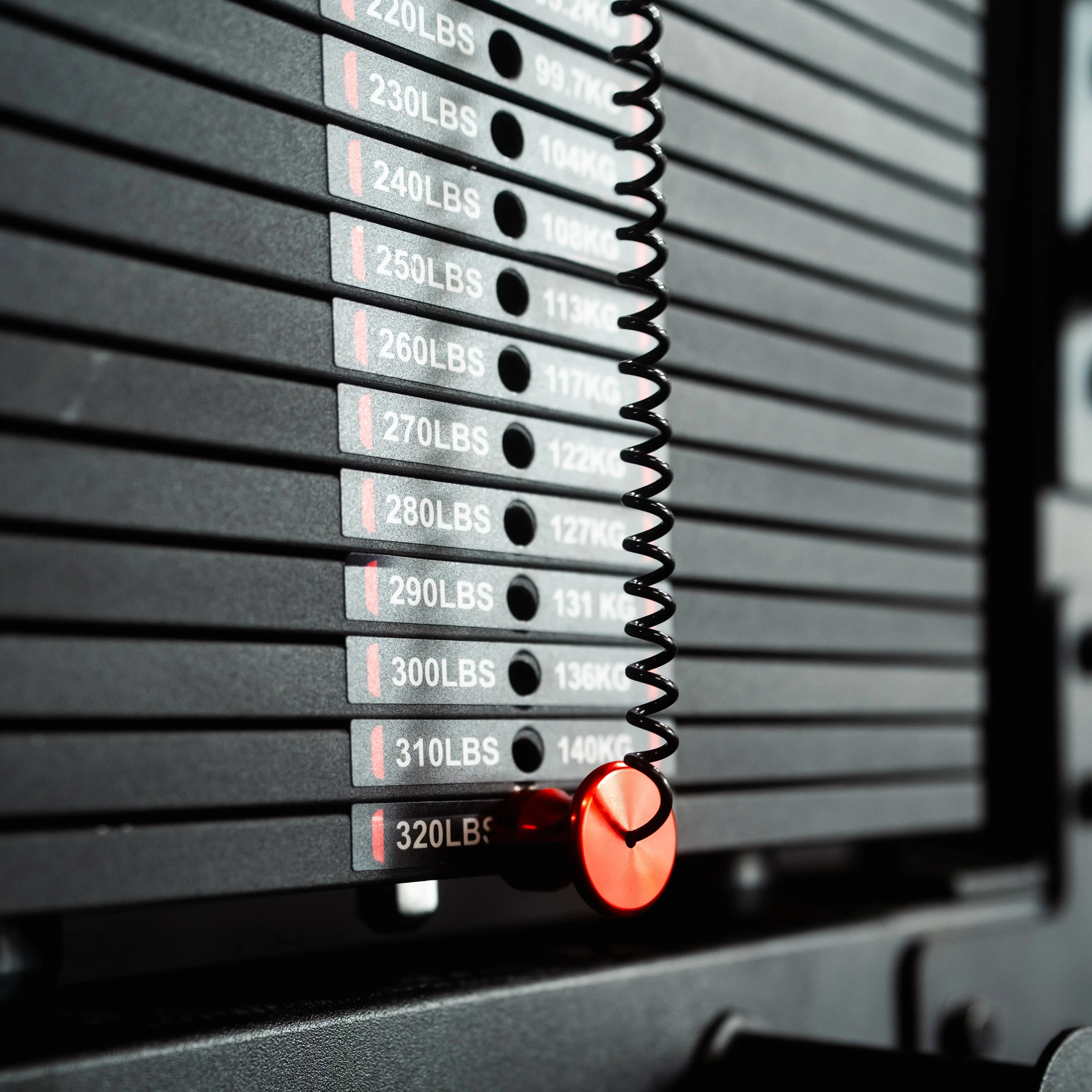 The Walrus: Single Tower Low Row & Lat Pulldown - Image 5